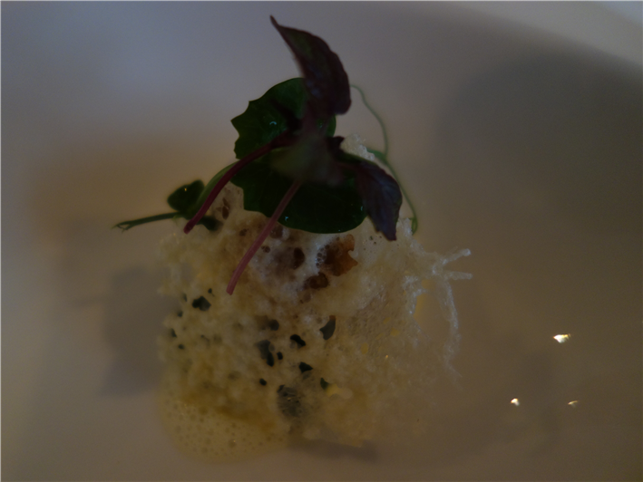 mushroom and risotto bombe with Parmesan foam